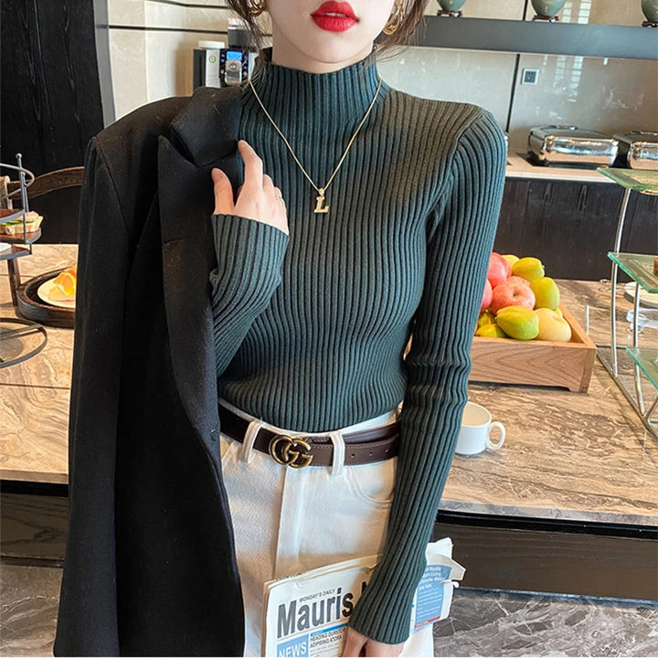 Elegant Solid Basic Knitted Tops Women Turtlneck Sweater Long Sleeve