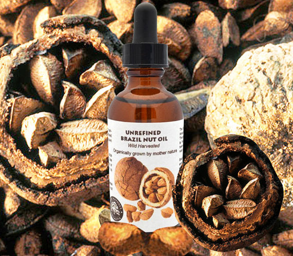 Virgin Brazil Nut Oil (organic, undiluted,